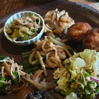  at Vegetus Sara in Kagoshima