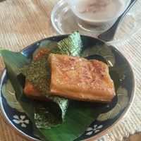  at Vegetus Sara in Kagoshima