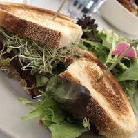 VLT at Vegan Hills in Honolulu