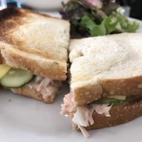 Tunot Melt at Vegan Hills in Honolulu