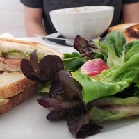 Tu-not Melt at Vegan Hills in Honolulu