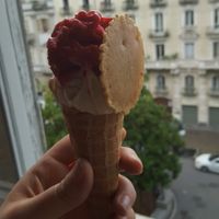 all vegan! at Gelateria Mondello - Emanuele Filiberto  - Maybe closed in Turin
