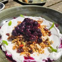 Great vegan options and reasonable prices at Caffi Caban Cafe in Brynrefail