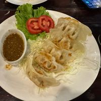 Gyoza  at Tofu Kitchen in Koh Chang