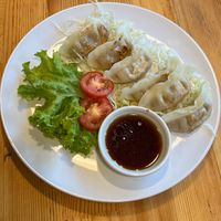gyoza   at Tofu Kitchen in Koh Chang