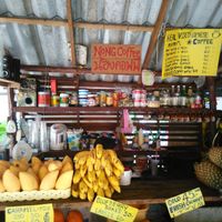 Best shake: peanut butter banana with coconut milk at Nong Cafe in Koh Chang