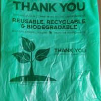 Biodegradable bag for leftovers at Sichuan Kitchen in Portland