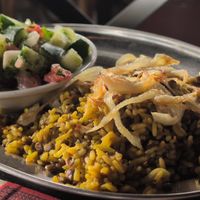 Mujaddara at The Casbah in Jacksonville