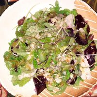 Vegan salad with arugula/rocket, green leaves, almond flakes, wild garlic, olives, red beet and nice vinegar at Sowa in Bydgoszcz