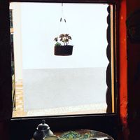 A room with a view  at Cafe Tango in Samaipata