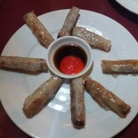 Spring rolls at Nocturnal Artist in Hoi An