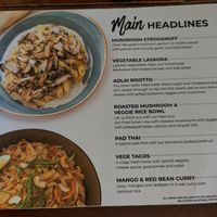  at SHAKA - Bohol in Panglao