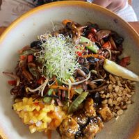 Mushroom and tofu with rice 6 pieces (small) of tofu   at SHAKA - Bohol in Panglao