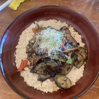   at SHAKA - Bohol in Panglao