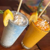 Coconut Cloud & Tropoloco at SHAKA - Bohol in Panglao