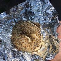 Everything with jalapeño tofu at Union Bagel Co. in Portland