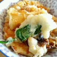 Tempura at Nobiko in Cologne