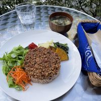 Soy meat curry lunch set at Cafe 5884 in Tokyo