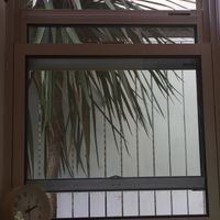 The view from the table ☺️ at Cafe 5884 in Tokyo