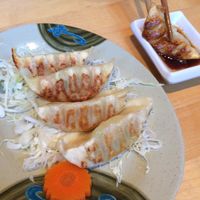 vegan dumplings  at Kiku Sushi in Berkeley