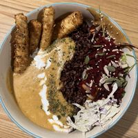 Buddha bowl   at Bodhi Greens in Dharamshala