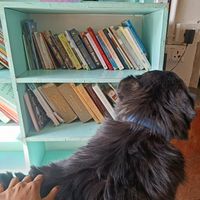 Pachisko - Their fur warm resident at Bodhi Greens in Dharamshala