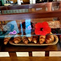 Slices cabinet at Folk in Byron Bay