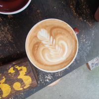 Latte at Folk in Byron Bay