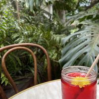   at Folk in Byron Bay