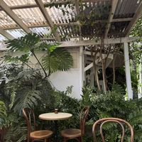   at Folk in Byron Bay