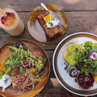 Avo sourdough with greens and house krout, soba noodle salad, banana bread and bpcm smoothie at Folk in Byron Bay