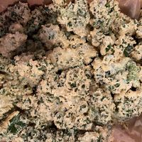 kale tempura   at Grains  in San Diego