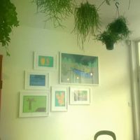 succulents at The Longhouse Cafe in Brighton