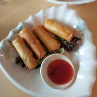 Spring Rolls at Vegie Bowl in Springvale