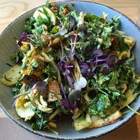 Green apple Sunfed salad at The Botanist in Wellington