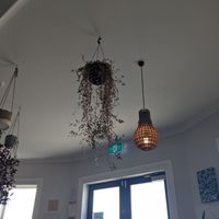  at The Botanist in Wellington