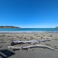 The view at The Botanist in Wellington