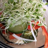 Delicious vegan openface bagel sandwich with vegan cream cheese and pesto! at Tin Shack Bakery in Pahoa