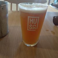 Musa craft beer at The Therapist - LxFactory in Lisbon