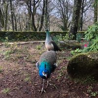 View from breakfast at the cottage at Quinta das Aguias in Paredes De Coura