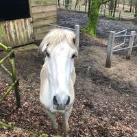  at Quinta das Aguias in Paredes De Coura