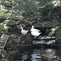 Morning bath with ?  at Quinta das Aguias in Paredes De Coura