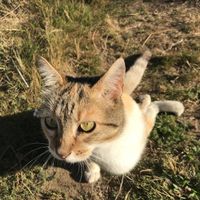 Strong Mia, against all disabilities  at Quinta das Aguias in Paredes De Coura