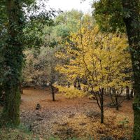 Quinta at Quinta das Aguias in Paredes De Coura