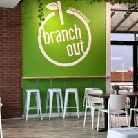   at Branch Out in Paducah