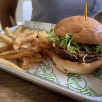   at Branch Out in Paducah