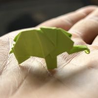   at Helecho in Medellin