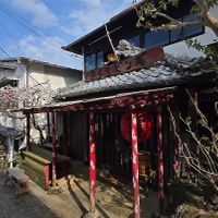  at Nyabinghi in Ikoma