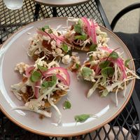 Enchiladas app at Casa Yari in Chicago