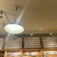 Menu board #Veganuary at Madal Coffee Co - Ferenciek Tere in Budapest